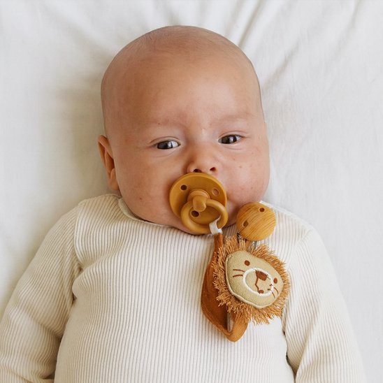 Attache tetine | Sécurité Élégante - Mamanbebebynina